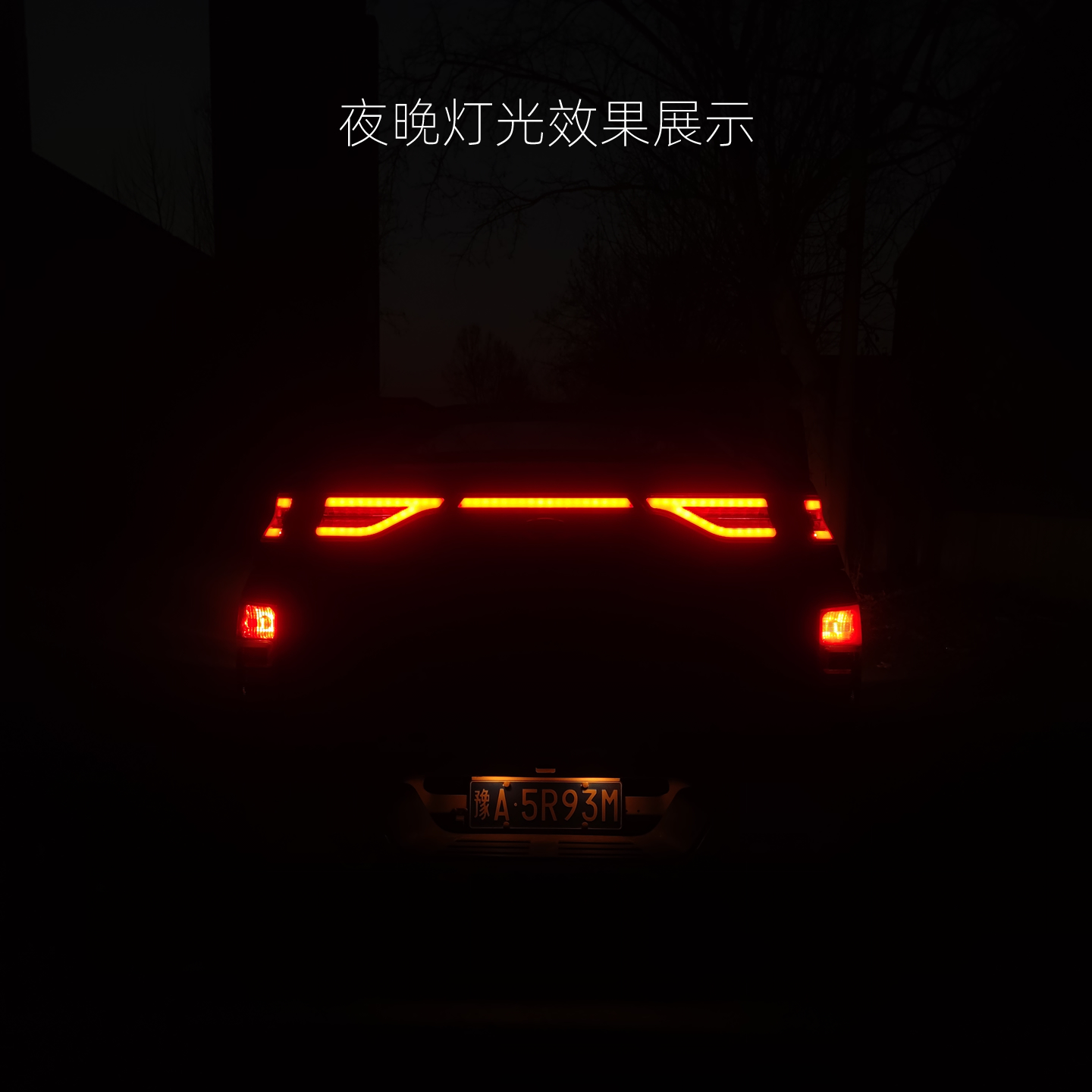 灯光展示.jpg